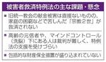 　被害者救済特例法の主な課題・懸念