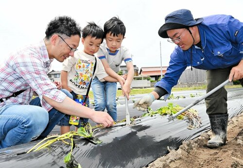 スタッフ（右）の手ほどきを受けながら、サツマイモの苗を植える子どもたち