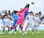 ガイナーレは後半、ＧＫ高麗が相手の攻撃を抑える＝１６日、静岡県沼津市の愛鷹広域公園多目的競技場