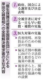 　「優生保護法被害全国原告団」などによる岸田文雄首相への全面解決要求書の主な内容