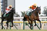 　競馬の第５８回共同通信杯を制したジャスティンミラノ（右）＝東京競馬場