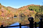 紅葉を楽しむ観光客ら＝１日、智頭町芦津の芦津渓谷