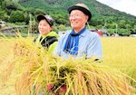 ブランド米「かにのほほえみ」の豊作を喜ぶ小谷さん親子＝１日、香美町香住区中野