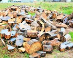 希望者に無償配布される米子城跡の伐採木＝１３日、米子市久米町の旧湊山球場跡地