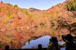 水面に映る紅葉の山々＝１２日、智頭町芦津の芦津渓谷