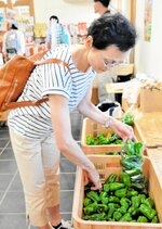 ピーマンの詰め放題にチャレンジする来場者＝１４日、新温泉町栃谷の道の駅山陰海岸ジオパーク浜坂の郷