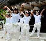 うさぎダンスを踊る「とっとり白うさぎダンサーズ」＝７日、鳥取市白兎の白兎神社