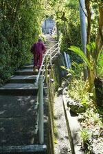 　長崎は坂が多い。松崎ヨシ子は野菜や花を育てている畑まで、１８０段ほどの階段を駆けるように上るのが日課だ＝２０２４年５月、長崎市