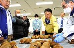 原木シイタケの規格を確認する生産者ら＝２０日、鳥取市古郡家の日本きのこセンター菌蕈研究所