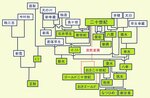 ニホンナシ主要品種の系統図