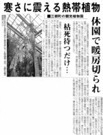 暖房がストップし枯れる熱帯植物の状況を報じる日本海新聞（２００５年12月29日）