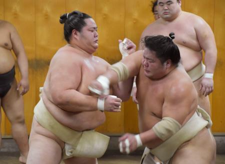 　出稽古に来た大栄翔（右）と相撲を取る琴桜＝５日、千葉県松戸市の佐渡ケ嶽部屋