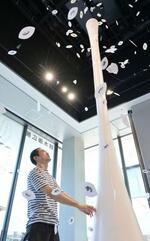 　会場に展示された鈴木康広さんの作品「まばたきの葉」＝東京都世田谷区