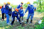 クロマツの植栽に汗を流す参加者ら