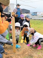 桜の苗木に土をかぶせる園児ら＝２５日、鳥取市南隈