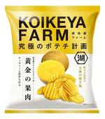 　湖池屋の「ＫＯＩＫＥＹＡ　ＦＡＲＭ　黄金の果肉　天海の焼き塩」