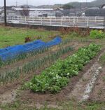 集落近くの畑。今年はどんな作物が実るのか＝２０２５年３月16日、鳥取県北栄町内