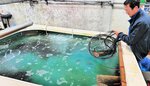 三光のリサイクル工場に設置されたキジハタ養殖用の水槽＝１３日、境港市潮見町