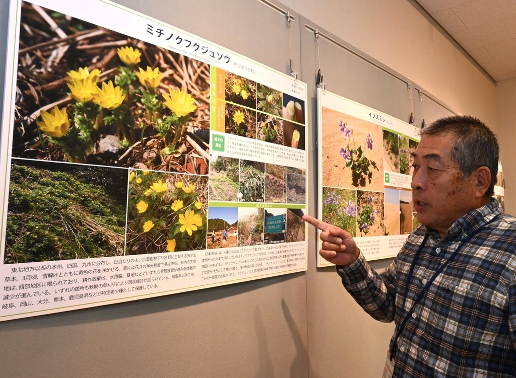 希少植物３２種を紹介する企画展