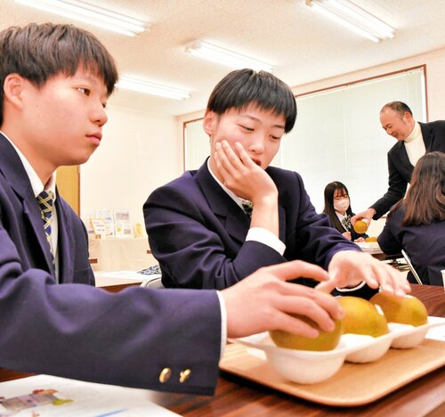 氷温保存された梨の重さを比較する生徒