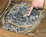 　割竹形木棺の中で見つかった銅鏡＝１２日、奈良市の富雄丸山古墳